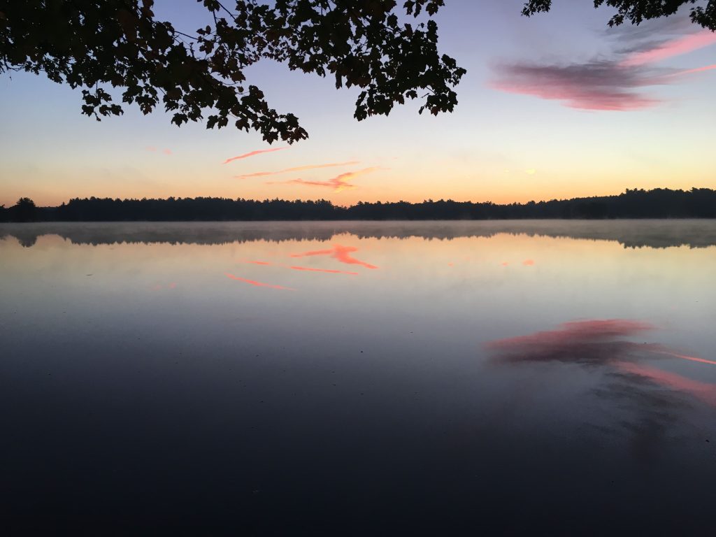 Nuvarande bild: Peaceful sunset at a calm lake with clear reflections and pastel skies.